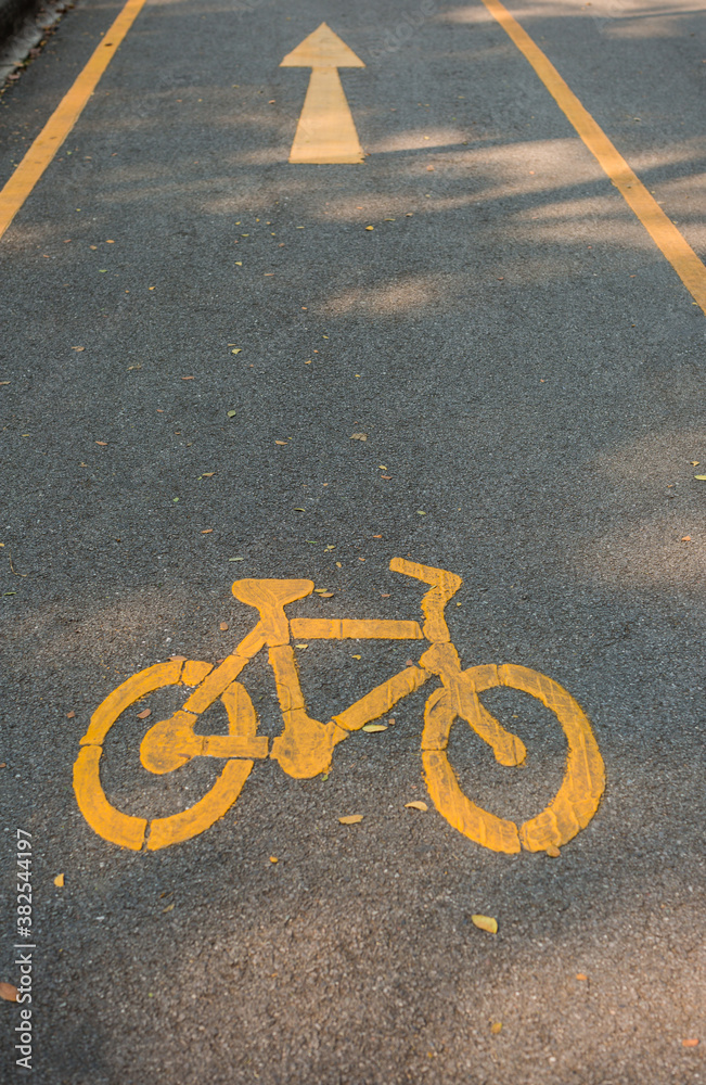 Bicycle Lane in the Park Bicycle Lane in the Park