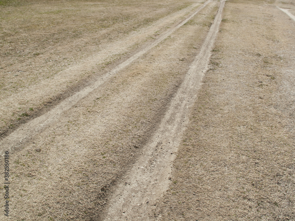 Naklejka premium 武庫川河川敷の散歩道