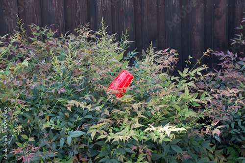 Red Cup photo