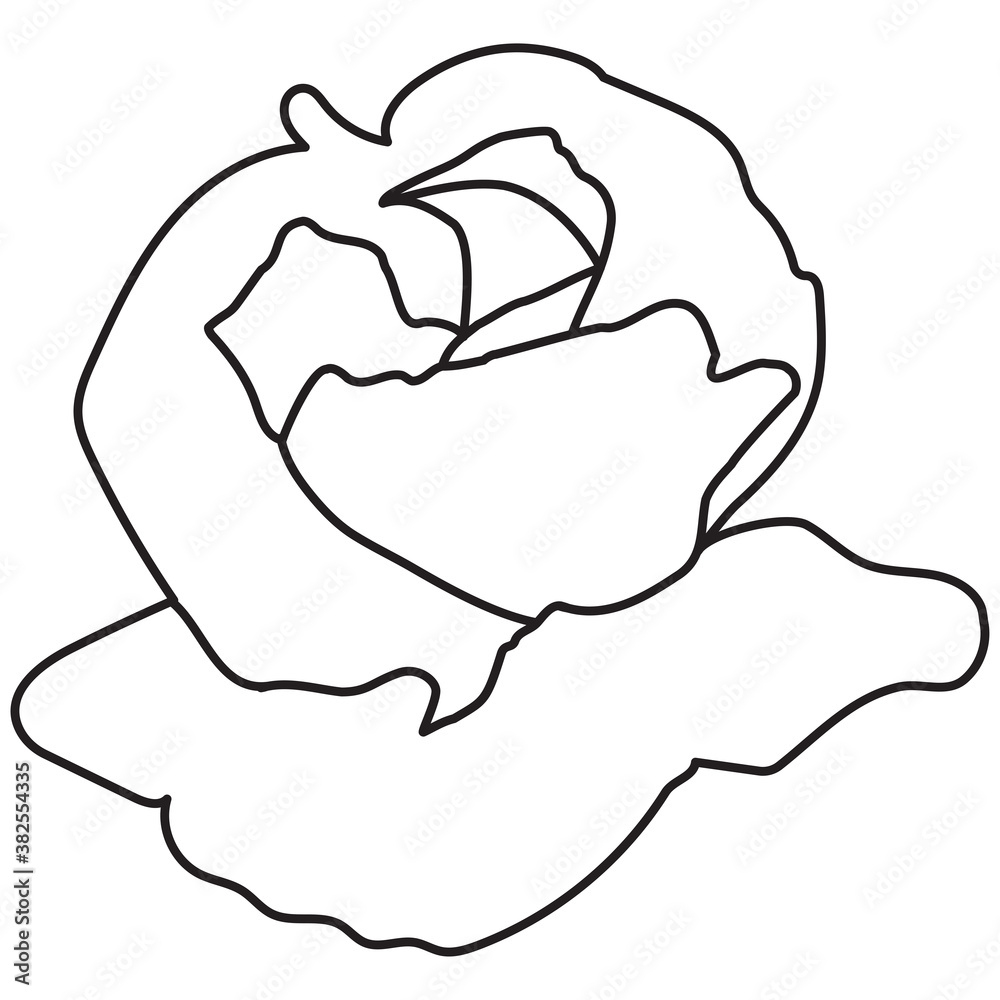hand holding a paper hand holding a paper
