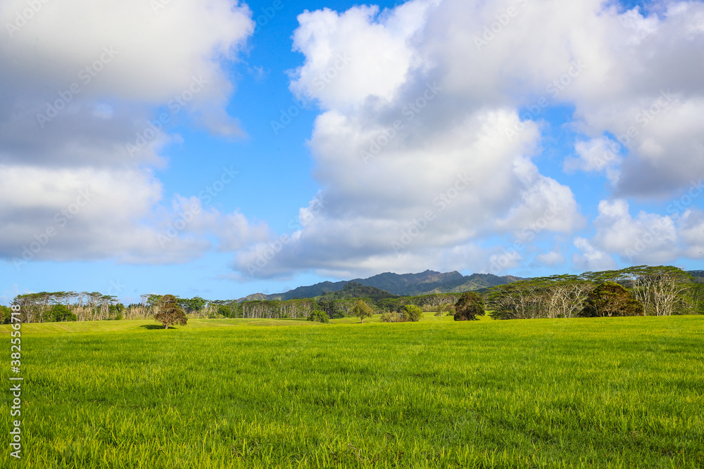Obraz premium Jurassic Ranch, Kauai, Hawaii 