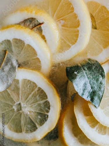 lemons and leaves
