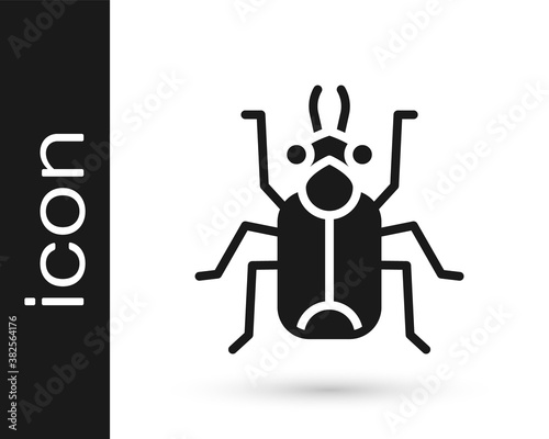 Black Beetle bug icon isolated on white background. Vector.