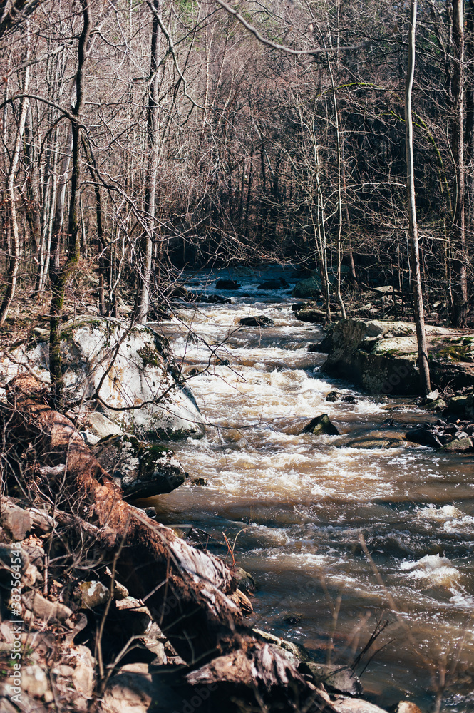 Creek Running through Arkansas Woods Creek Running through Arkansas Woods
