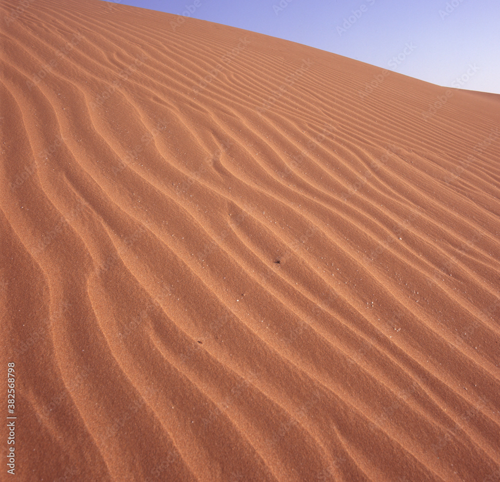 Sand Dune Sand Dune