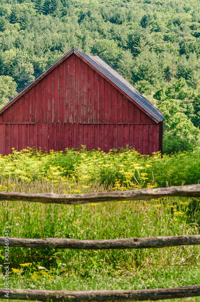fence, wildflowers, and red barn fence, wildflowers, and red barn