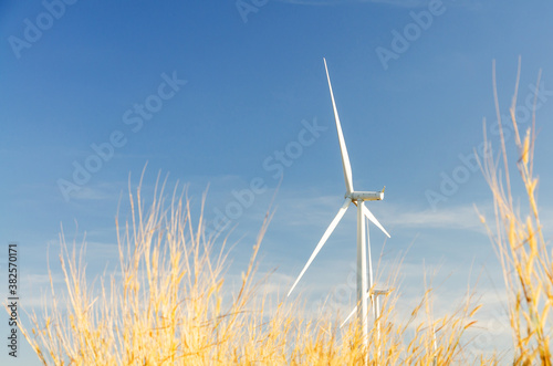 Wind generator farming in dreen world energy concept