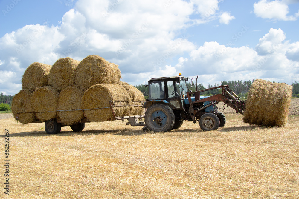A small old blue tractor carries a trolley in bales of straw. Ahead on a special device he has another bale of hay A small old blue tractor carries a trolley in bales of straw. Ahead on a special device he has another bale of hay