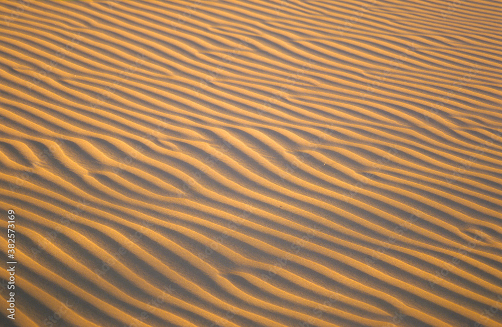 Desert Pattern Desert Pattern