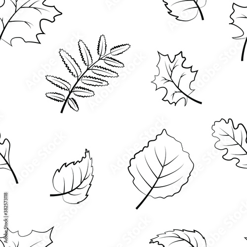 Pattern autumn . Background witch foliage in line style. Vector illustration.