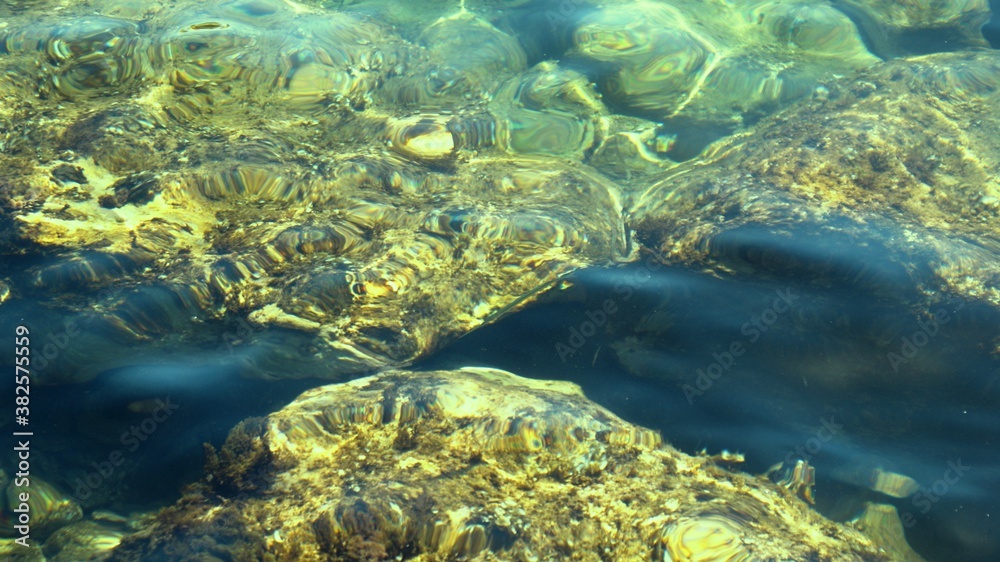 Fototapeta premium Fish under water. Cyprus. Pathos. Beach.