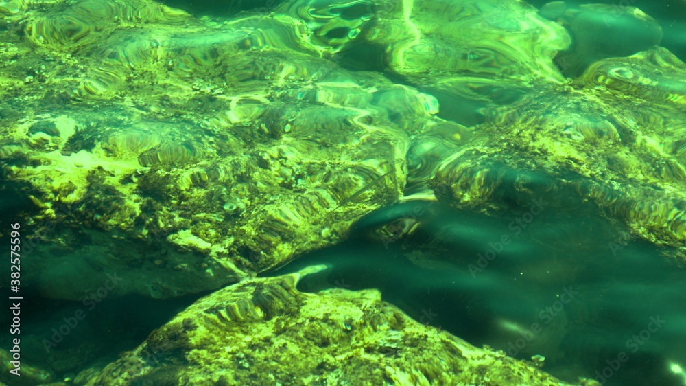 Fish under water. Cyprus. Pathos. Beach.