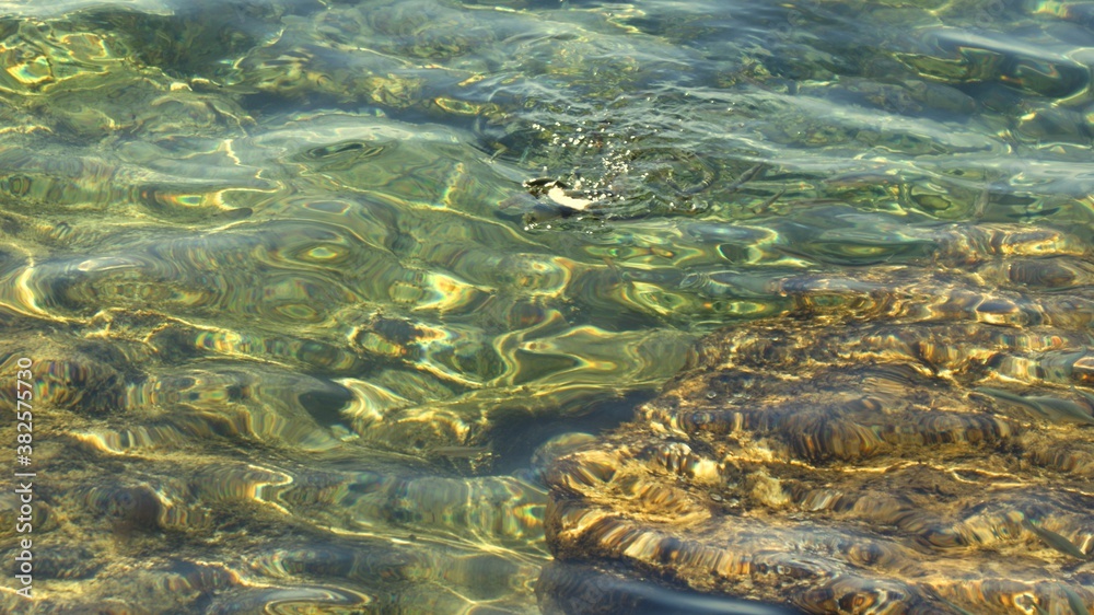 Fish under water. Cyprus. Pathos. Beach.