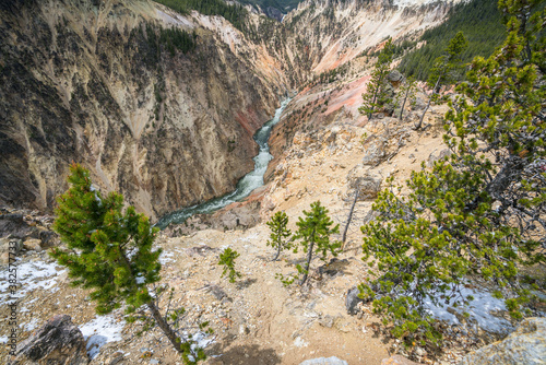 grand canyon of the yellowston from the north rim, wyoming, usa