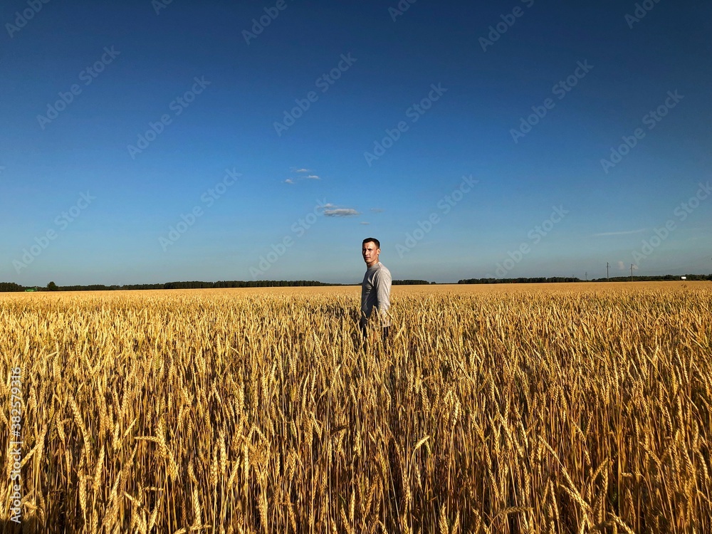 person in a wheat field person in a wheat field