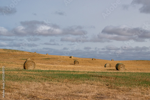 Hay Bales after fall harvest on the Canadian Prairies.