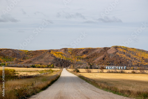 Back country road on the Canadian prairies in fall.