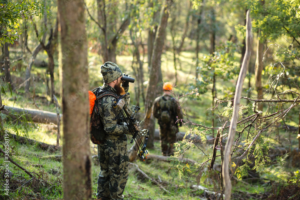 Two Deer Hunters in the Bush Two Deer Hunters in the Bush