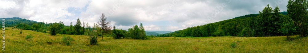 summer rural landscape panorama with forest and blue sky. agriculture summer rural landscape panorama with forest and blue sky. agriculture