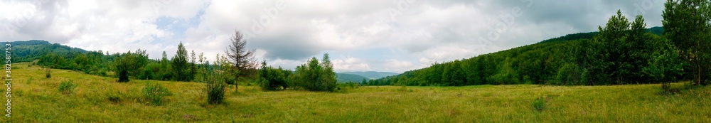 summer rural landscape panorama with forest and blue sky. agriculture