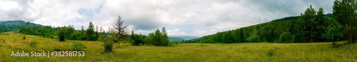 summer rural landscape panorama with forest and blue sky. agriculture
