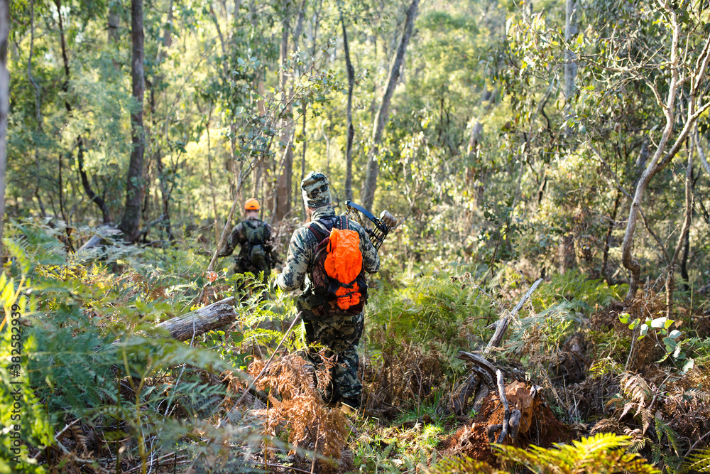 Two Deer Hunters in the Bush Two Deer Hunters in the Bush