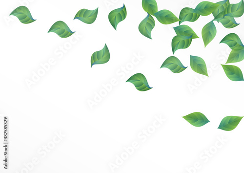Lime Greenery Realistic Vector White Background 