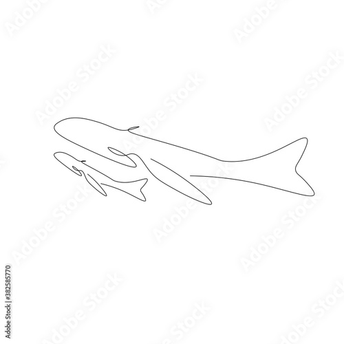 Whales drawing drawing. Vector illustration