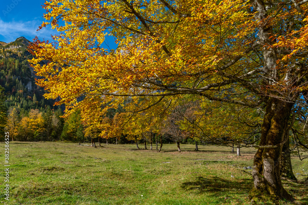 Bunte Herbstlandschaft im Rißtal in Oberbayern