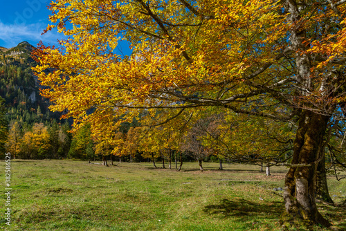 Bunte Herbstlandschaft im Ri  tal in Oberbayern
