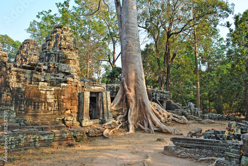 A huge tree in the middle of the ruins of the Banteay Kdei temple in the Angkor complex, Cambodia