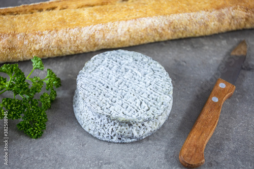 Fototapeta Naklejka Na Ścianę i Meble -  fromage de chèvre Selles-sur-Cher et baguette de pain