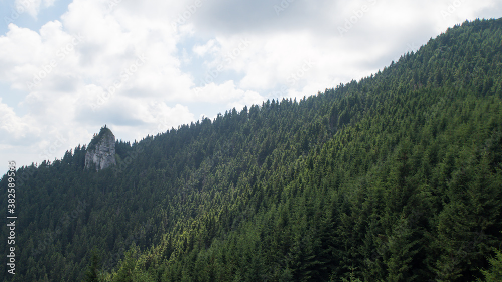 Landscape of forest in mountains with high peek of rock during a cloudy day - sky with clouds