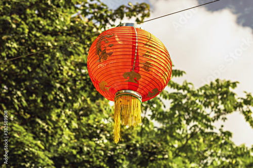 Chinese new year lanterns in the Park