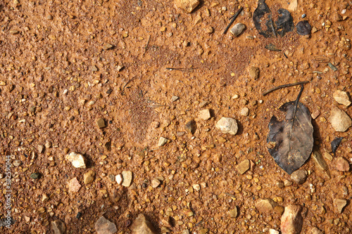 Moist yellow soil with lots of small stones, detailed texture