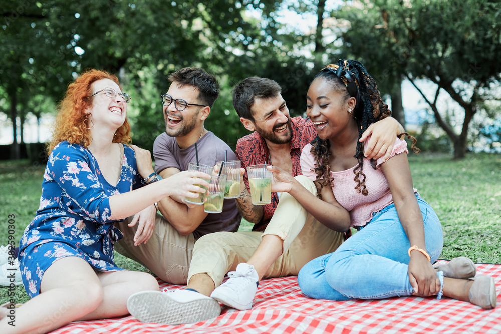 picnic fun outdoor woman friend summer friendship man lifestyle smiling happy toast party couple picnic fun outdoor woman friend summer friendship man lifestyle smiling happy toast party couple
