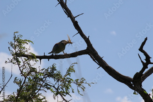 Photos taken in Kruger National Park