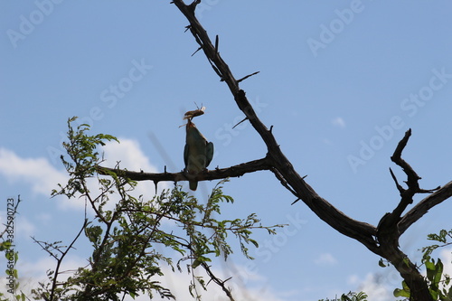 Photos taken in Kruger National Park