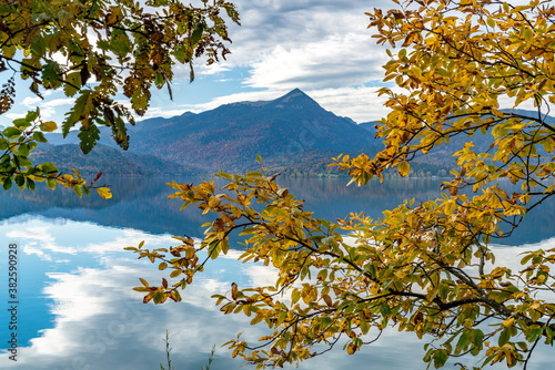 Blick zwischen den Herbstblättern hindurch auf die bayerischen Alpen am Walchensee