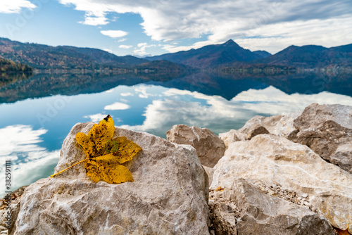 Ein Ahornblatt vor dem idyllischen Walchensee