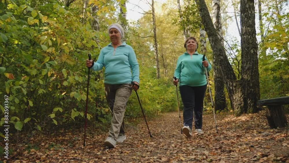 Senior women with trekking poles walking in forest. Practicing Nordic walking outdoors Senior women with trekking poles walking in forest. Practicing Nordic walking outdoors