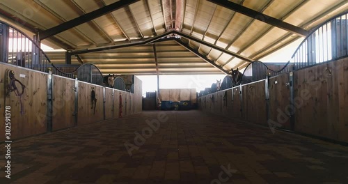 Inside view or horse stallion barn ranch. Aerial dolly shot at daytime in horses farmhouse at countryside. Trained equestrian stall waiting in rooftop shelter