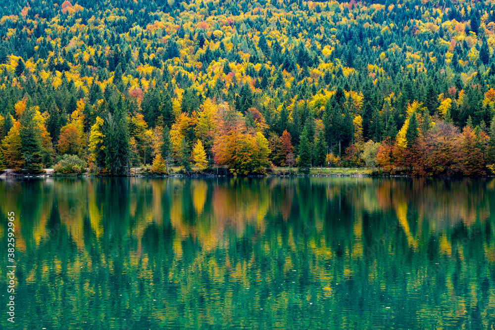 Der Herbstwald der Jachenau spiegel sich im Walchensee