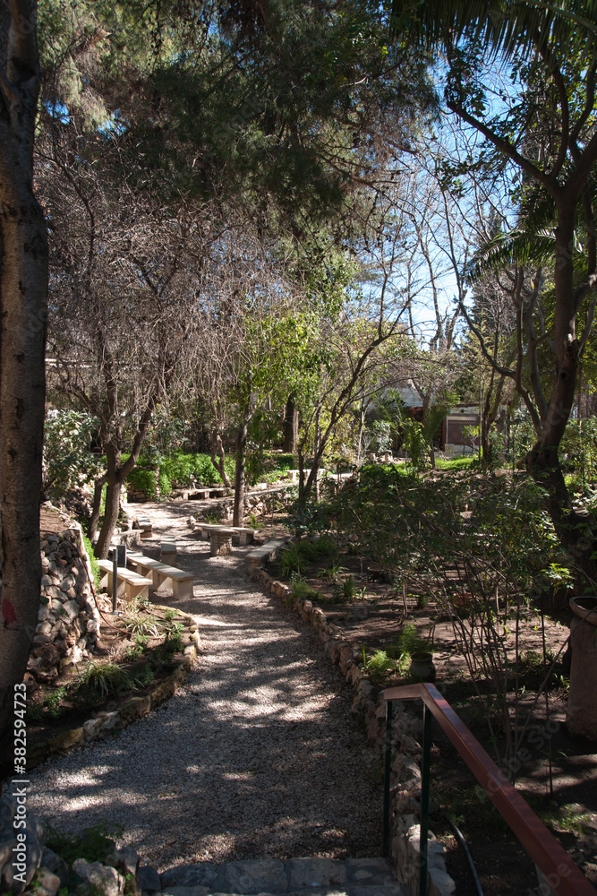 Tomb garden in jerusalem