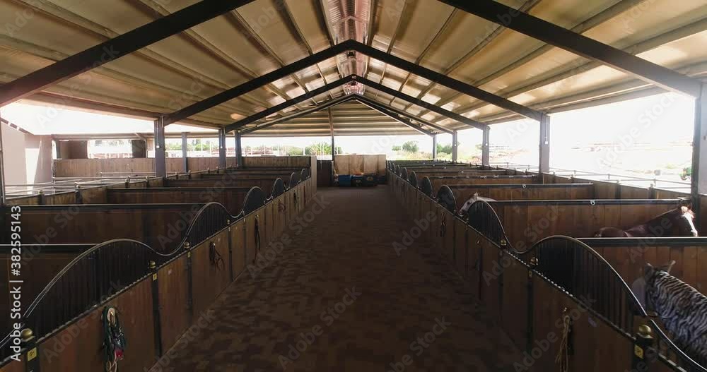 Inside view or horse stallion barn ranch. Aerial dolly shot at daytime in horses farmhouse at countryside. Trained equestrian stall waiting in rooftop shelter Inside view or horse stallion barn ranch. Aerial dolly shot at daytime in horses farmhouse at countryside. Trained equestrian stall waiting in rooftop shelter