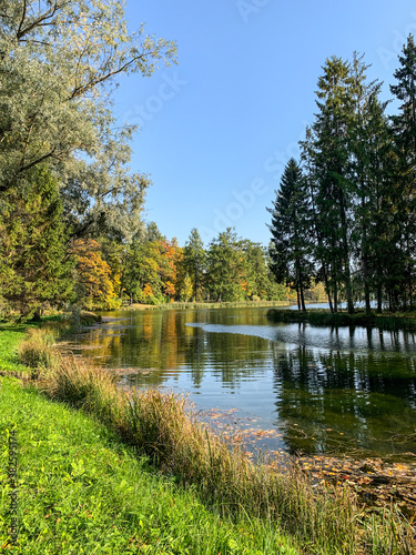 Spruce trees on the pond, autumn background