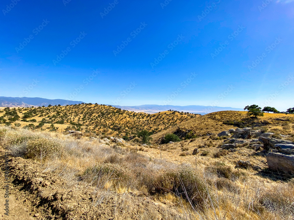 desert desert