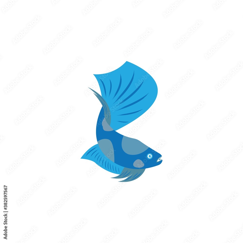Obraz premium beautiful betta fish vector