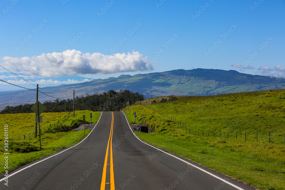 The most beautiful country road, Hawaii