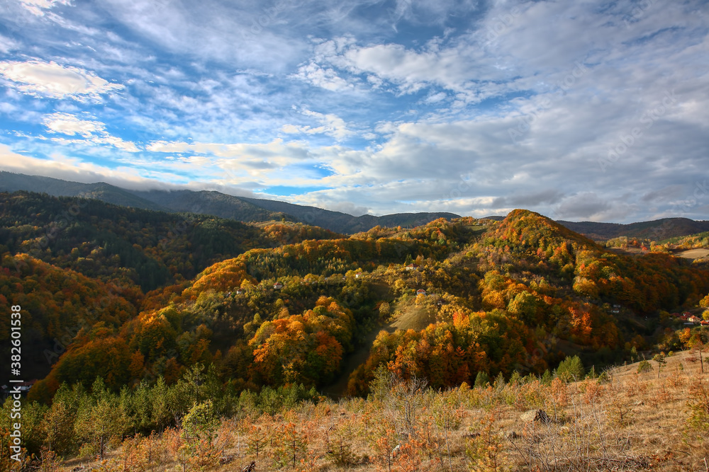 Wonderful landscape in autumn. Trees in yellow foliage. Mountain in fall colors.Colorful mountain landscape. Autumn in the mountains.